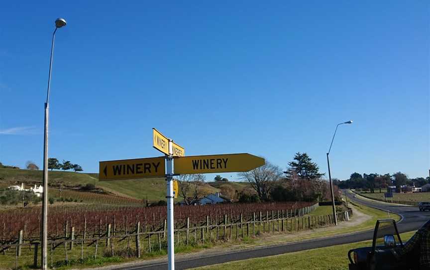 Bob's wine tours, Pirimai, New Zealand